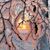Bull N Maria Luebbers's profile image