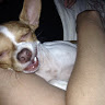 Manda P.'s profile image
