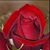 Peggy Porter's profile image