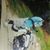 Gregory Gman Hunter's profile image