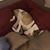 Maryann Ray's profile image