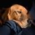 Jennifer Otto's profile image