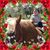 Ellen Molnar's profile image
