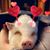 Carrie Besaw's profile image