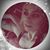 Jullane Hohnstein's profile image