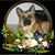 Toni Leon's profile image