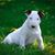 Donnie Gilpin's profile image