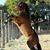 Brenda Kane's profile image