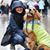 Katherine Pacheco's profile image