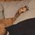 Tracy Mooney Ruffner's profile image