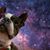 Hannegan Roseberry's profile image