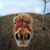 Theresa Kingsbury's profile image