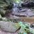 Tracey Roberts Conklin's profile image