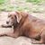 Tricia Wooten Stabler's profile image