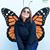 Lucia Beggiora's profile image