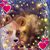 Lisa Fijalkowski's profile image