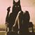 Molly Rumpz's profile image