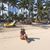 Cecilia Diaz Romero's profile image