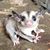 Joli Nelson's profile image