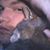 Robert Farmer's profile image