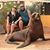 Nicole Mussehl's profile image
