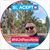 Allan Mora's profile image