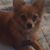 Brenda Meigs's profile image