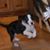 Denise Demyan's profile image