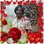 Kathy Wilson's profile image