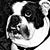 Jennifer Loucks Schindler's profile image