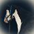 Donna Koger Crabtree's profile image