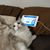 Lingwen Hsing's profile image