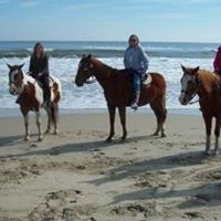 Judy Cleveland's profile image