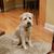 Ruth Ann Gerow's profile image