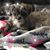 Juanita Martinez's profile image