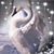 Ann Schmidt's profile image