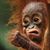 Iain Huizinga's profile image
