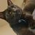 Jennifer Blakeley Mode's profile image