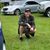 Nick Newland's profile image