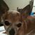 Sherry Green's profile image