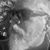 Joseph Serpa's profile image