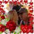 Kathy Fowler's profile image