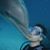 Jens Milbrandt's profile image