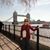 Crystal Pasic's profile image