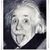 David Gels's profile image