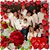Joan Cleary Lanford's profile image