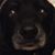 Ragen Stambaugh Grimes's profile image