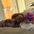 Zacheus Wright's profile image