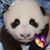 Glenda Ashton's profile image