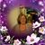 Shar Marshall's profile image